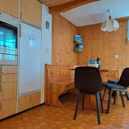 Chalet Engi Apt 1 For Up To 8 People Grindelwald Exterior photo